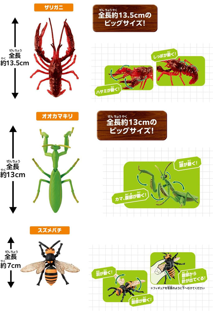 アニア 大自然の最強いきものセット フィギュア3体セット : ユウセイ堂