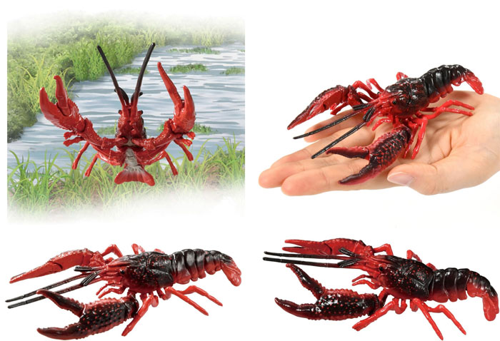 アニア AL-31 アメリカザリガニ : ユウセイ堂2号店 ヤフー