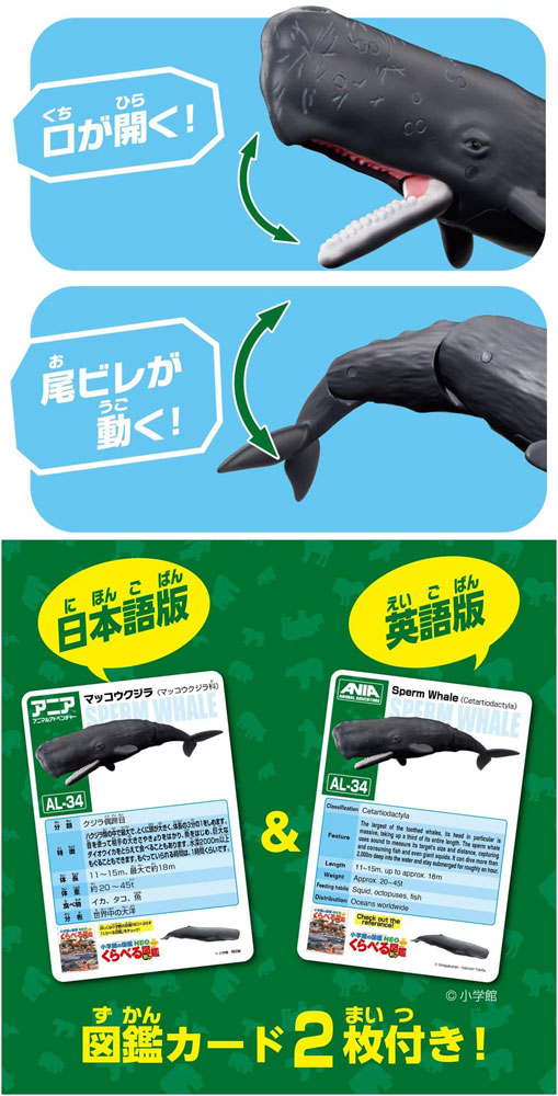 アニア AL-34 マッコウクジラ 水に浮くVer. : ユウセイ堂2号店 ヤフー