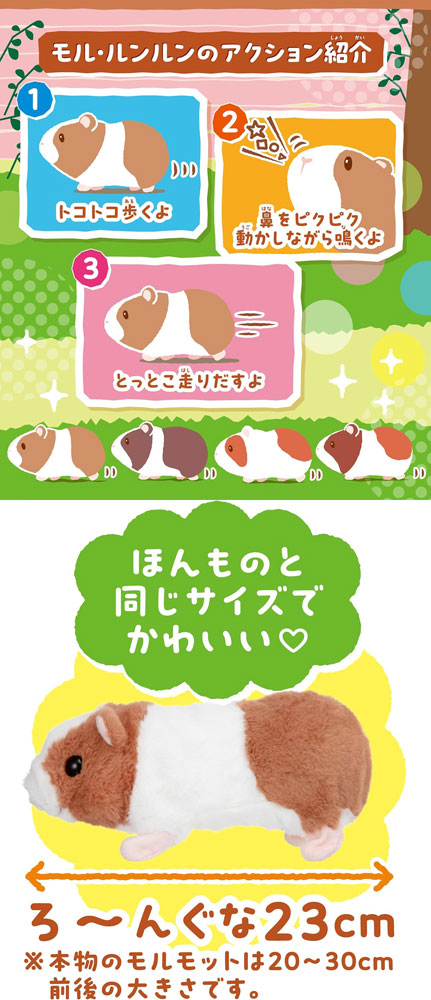 すすめ！ モル・ルンルン モルモット 電動ぬいぐるみの説明 - 通販