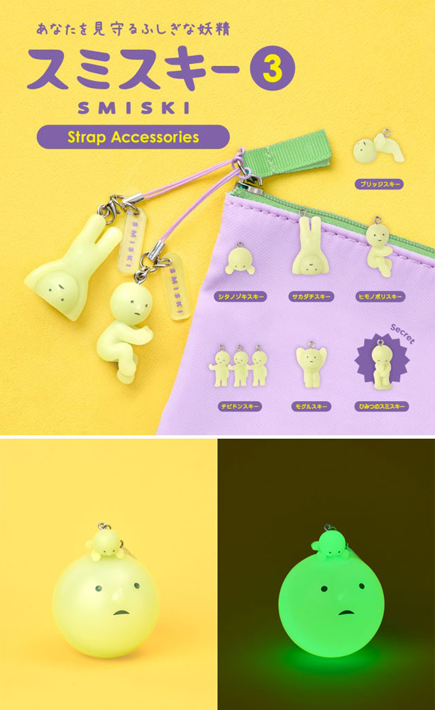 送料無料 [24個セット=1BOX] SMISKI Strap Accessories Series 3