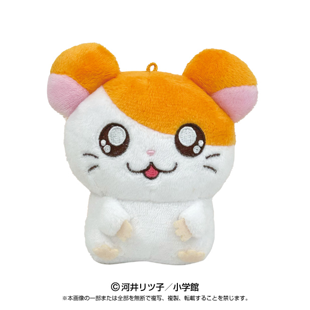 Amazon | V-7 ブイセブン レギュラーヘッド 10本セット (ふつう