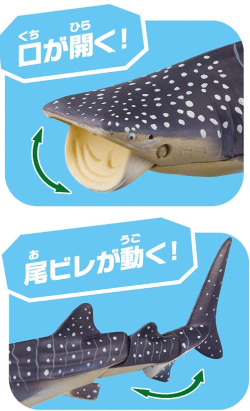 アニア　ジンベエザメ Amazon.co.jp: アニアAL-05 ジンベエザメ : Toys & Games