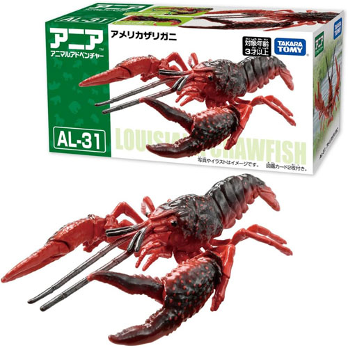 アニア AL-31 アメリカザリガニ : ユウセイ堂1号店 Yahoo!shopping店