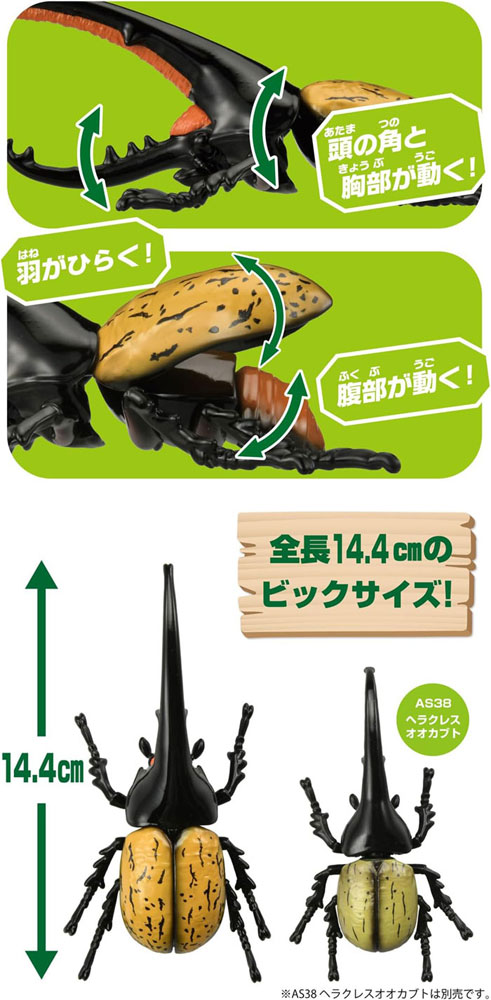 アニア AL-17 ヘラクレスオオカブトの説明 - 通販 - Yahoo!ショッピング