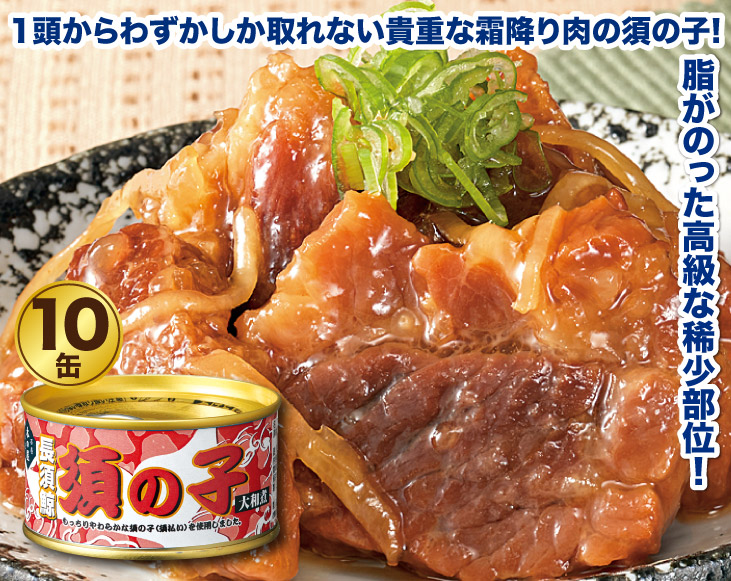 くじら クジラ 鯨肉 クジラ肉 新・ナガス鯨須の子大和煮缶詰10缶セット