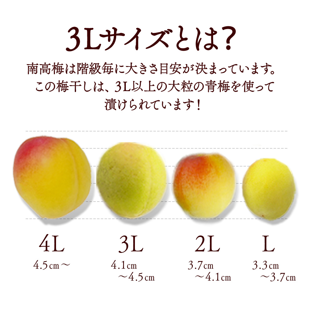 梅干 減塩 塩分 3％ 大粒 紀州 南高梅 1.6kg : 優生活 - 通販