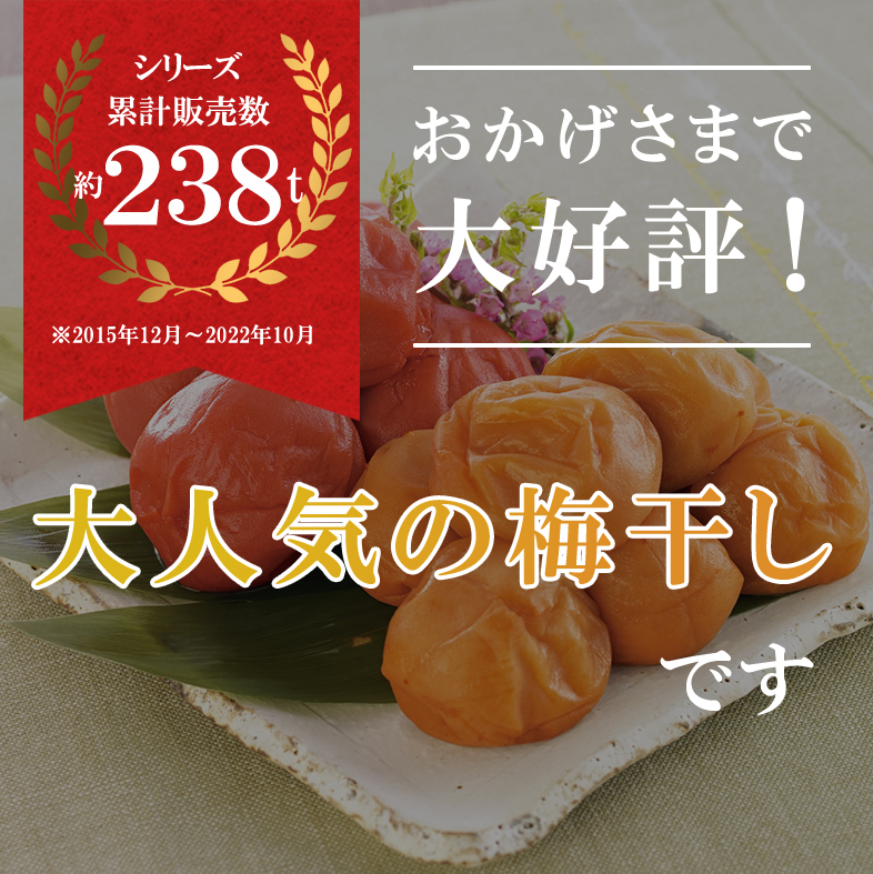 完熟お買得つぶれ梅干　無添加　無選別　　小粒　10kg入り Amazon | 紀州南高つぶれ梅 無選別 140g 1ケース（12個