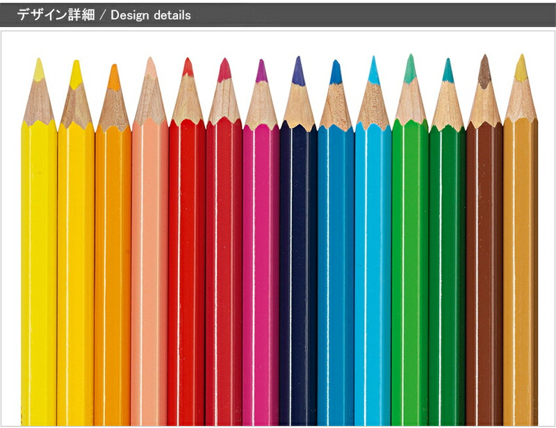 CARAN d'ACHE（カランダッシュ） 水性色鉛筆 スイスカラー 12色セット
