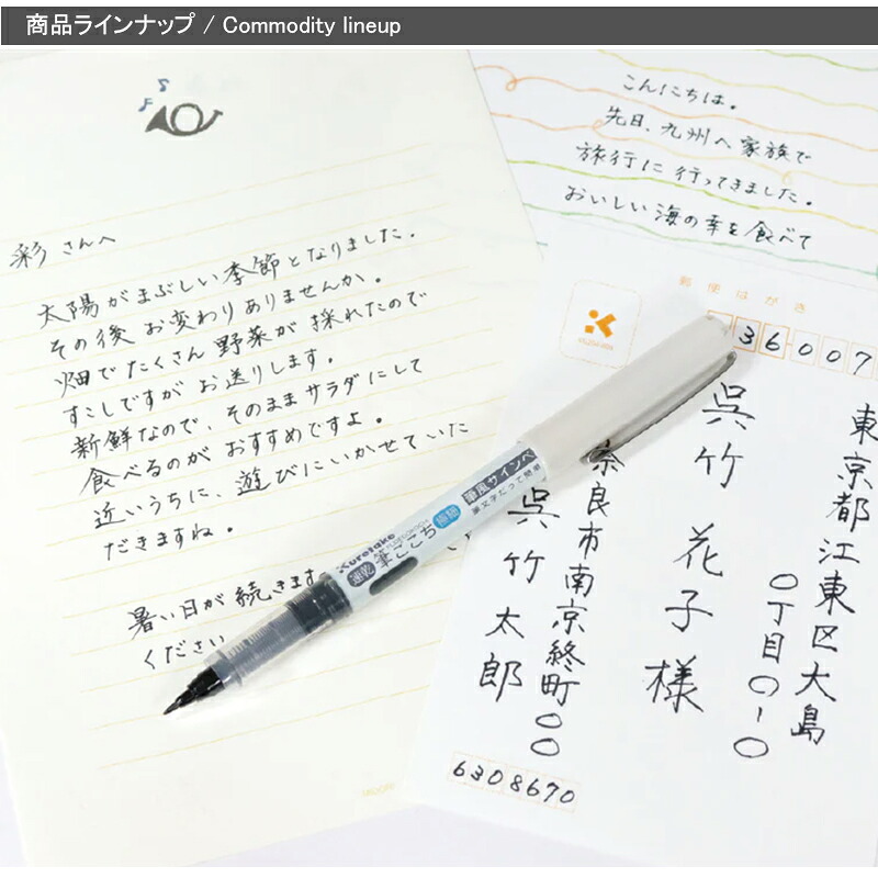 呉竹 KURETAKE 筆ごこち 筆風サインペン 極細 速乾 黒セリース QDLS4