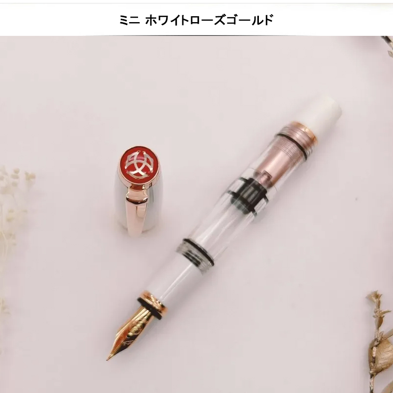 TWSBI（ツイスビー） キャップタイプ 吸入式高級万年筆 ダイヤモンド