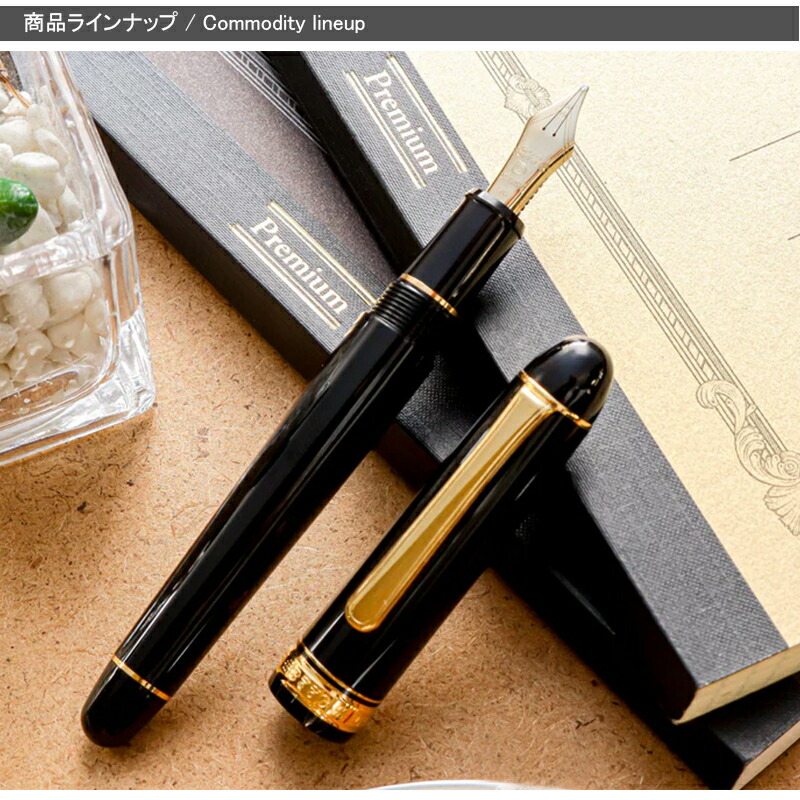 3776 センチュリー プラチナ万年筆 PLATINUM ＃3776 大型14K(14-20M