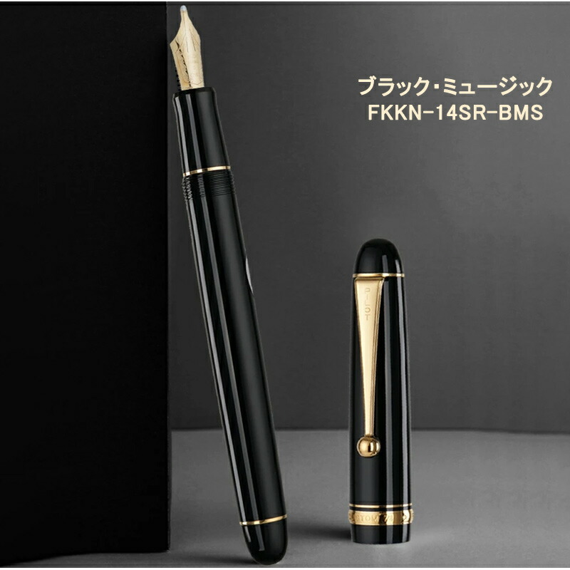 PILOT（パイロット） 名入れ 万年筆 カスタム74 14K 5号 C ブラック