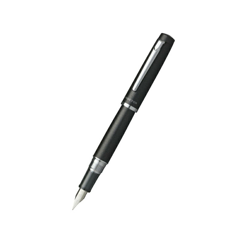 プラチナ万年筆 名入れ PLATINUM PROCYON プロシオン F/M PNS-5000 全7