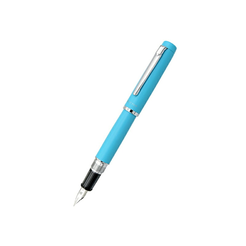 プラチナ万年筆 名入れ PLATINUM PROCYON プロシオン F/M PNS-5000 全7