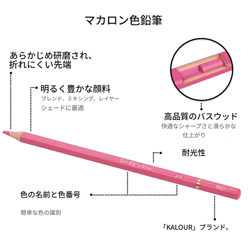 ANALOG.(アナログ) カロリー KALOUR 油性色鉛筆 50色セット マカロン ANALOG.(アナログ) カロリー KALOUR 油性色鉛筆 50色セット マカロン