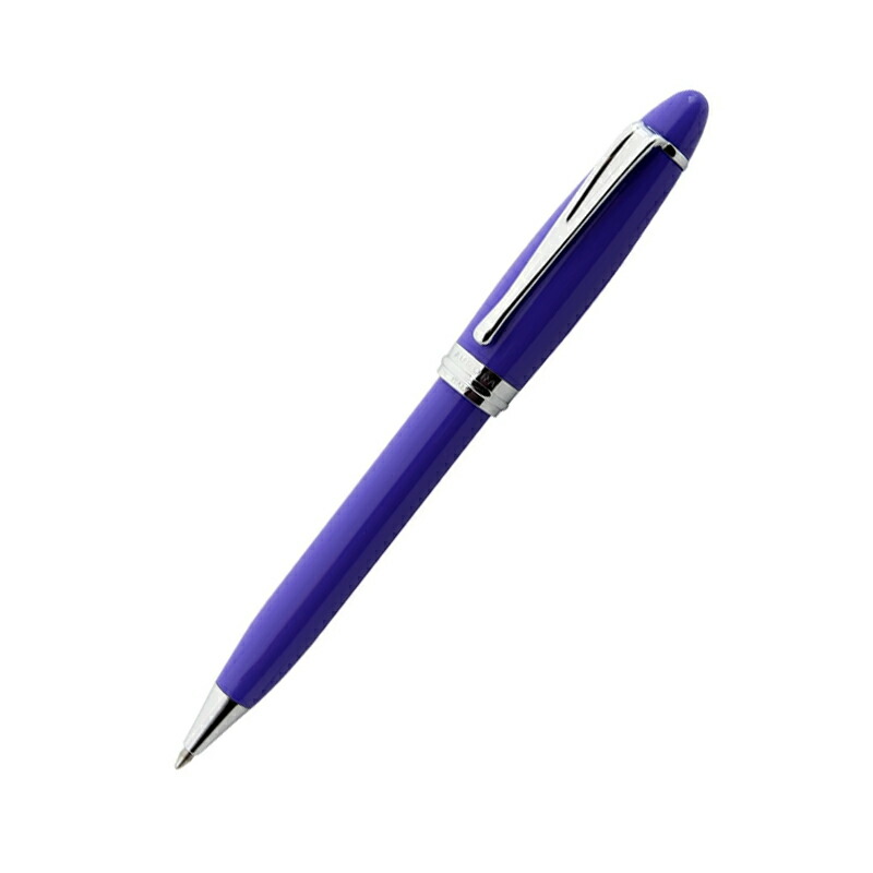 【美品】アウロラ ボールペン 紫色 B31-CVI 替芯付き イプシロン アウロラ AURORA Ipsilon ボールペン 四季 Spring春 B31