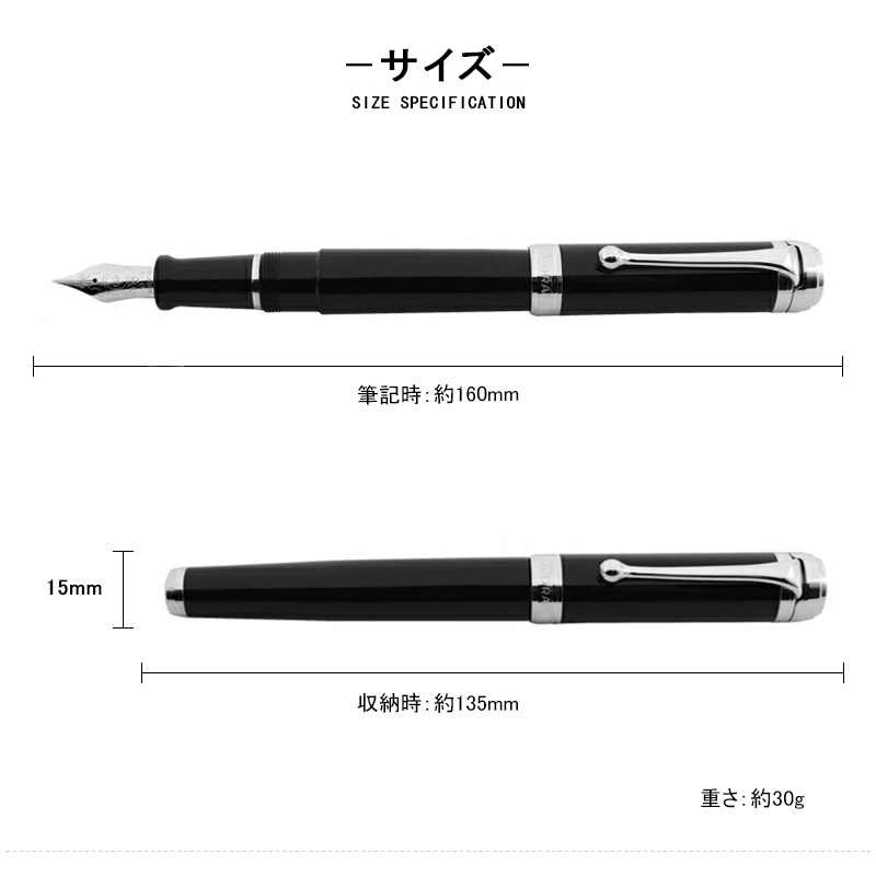アウロラ（AURORA） 万年筆 タレンタム マットブラック D10-RN