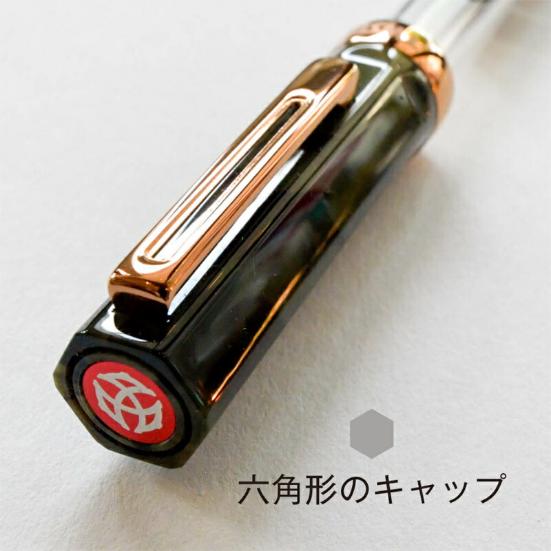 ステンレススチール ツイスビー TWSBI 万年筆 エコ ECO サーペンタイン