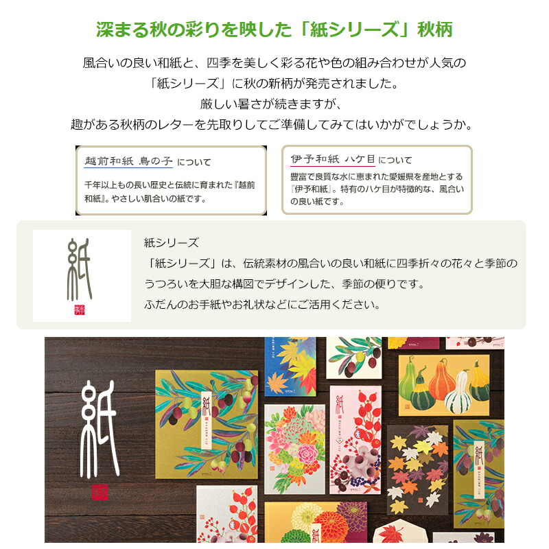 MIDORI（ミドリ） 在庫一掃 赤字セール 便箋/封筒/一筆箋 深まる秋の