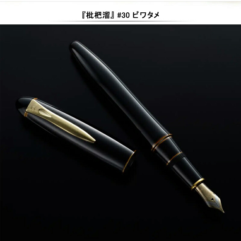 プラチナ万年筆 【取寄せ品】プラチナ PLATINUM 万年筆 出雲シリーズ