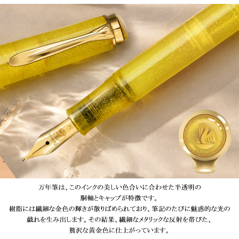【希少】ペリカン 万年筆 インクセット クラシック デザインBOX 保証書付 Pelikan（ペリカン） 特別インクと万年筆のセットボックス限定発売