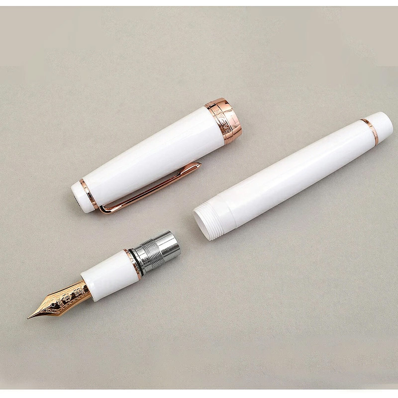 プロフェッショナルギア セーラー 万年筆 SAILOR 21金 大型 MF/M/F