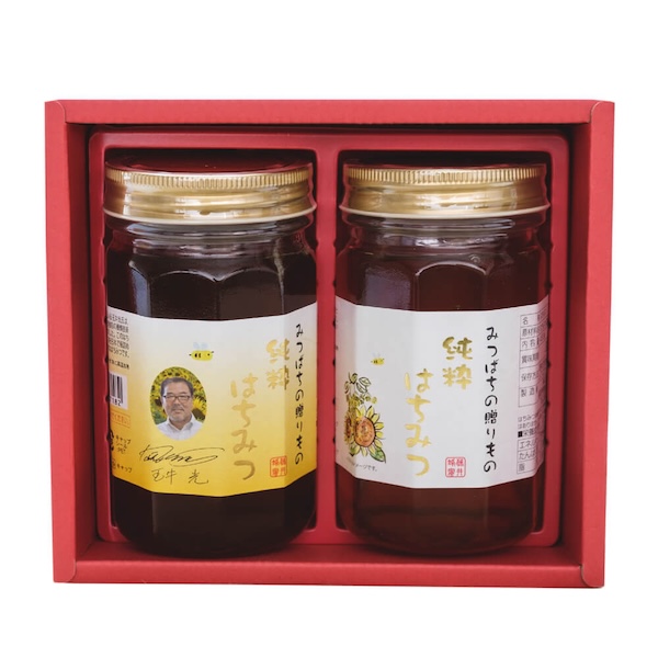 はちみつ詰め合わせ TM-30 450g× 2 】 藤井養蜂場 蜂蜜 純粋はち