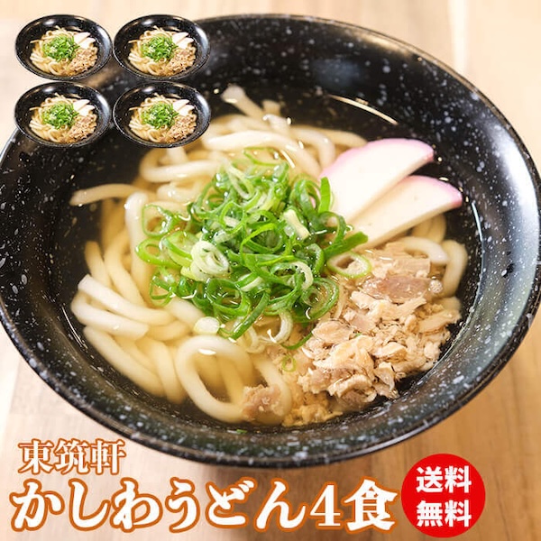 数量選べる【 東筑軒 冷凍 かしわ うどん 4〜6人前 】 冷凍うどん 駅弁