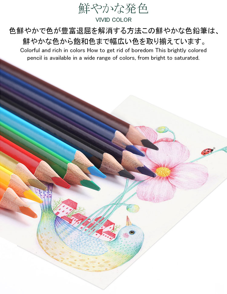 色鉛筆 72色セット 油性 人間工学 高級 72色 セット 缶入色鉛筆