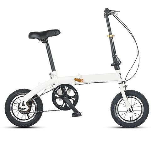 Lion 折り畳み式自転車　最終特別価格！ 9/5に出品取消予定！ Lion 折り畳み式自転車 最終特別価格！ 今週末に売却予定