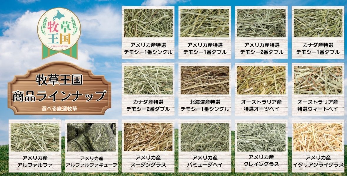 牧草王国 うさぎ 牧草 イタリアンライグラス 特選プレミアム アメリカ