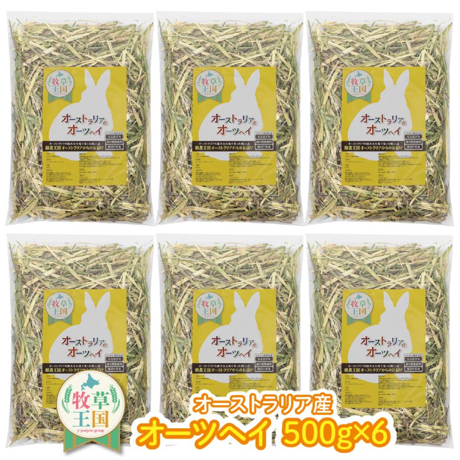 うさぎ牧草チモシーのもふぱふぇ｜Yahoo!ショッピング店