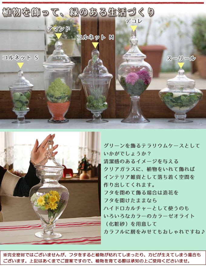 ダルトン(Dulton) 保存容器 ガラス ジャー ドレサージュ DULTON ONLINE SHOP | GLASS JAR DRESSAGE: キッチン & ダイニング