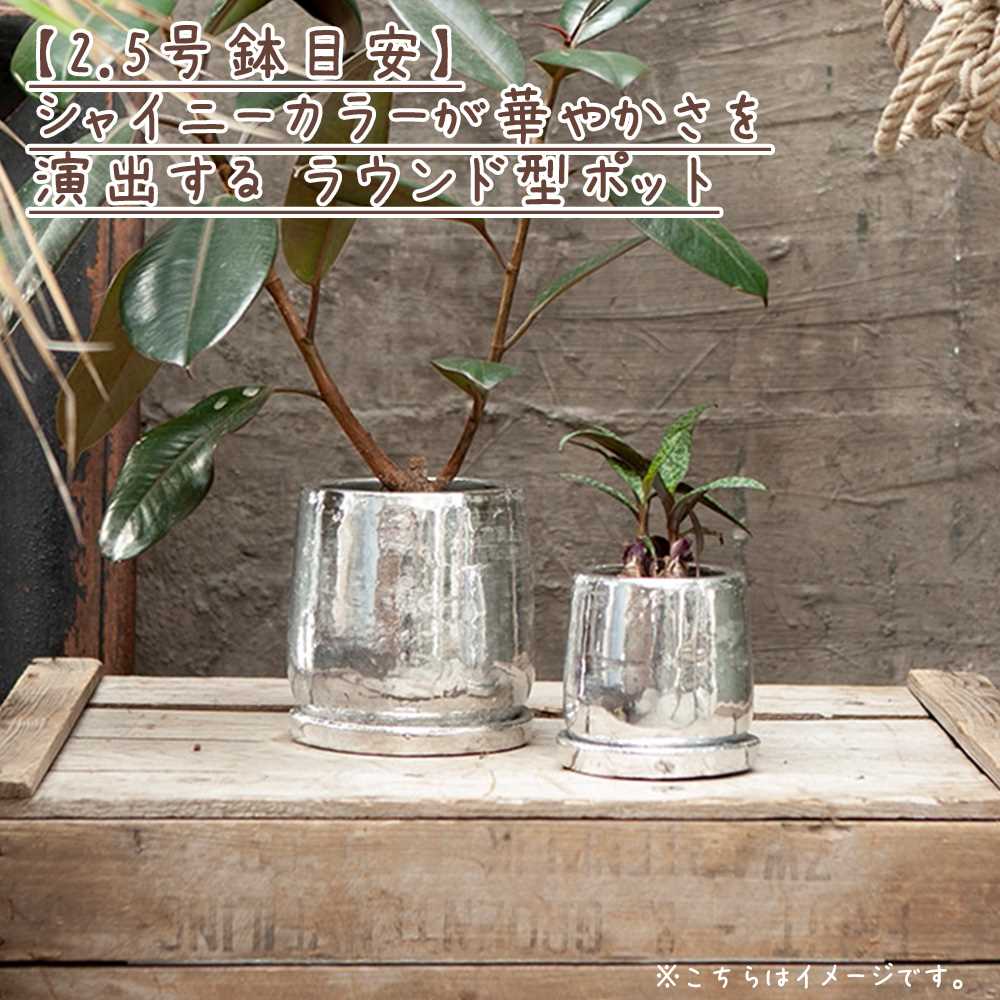 ラウンド ポット S DULTON ダルトン フラワーポット 植木鉢 鉢 小さい