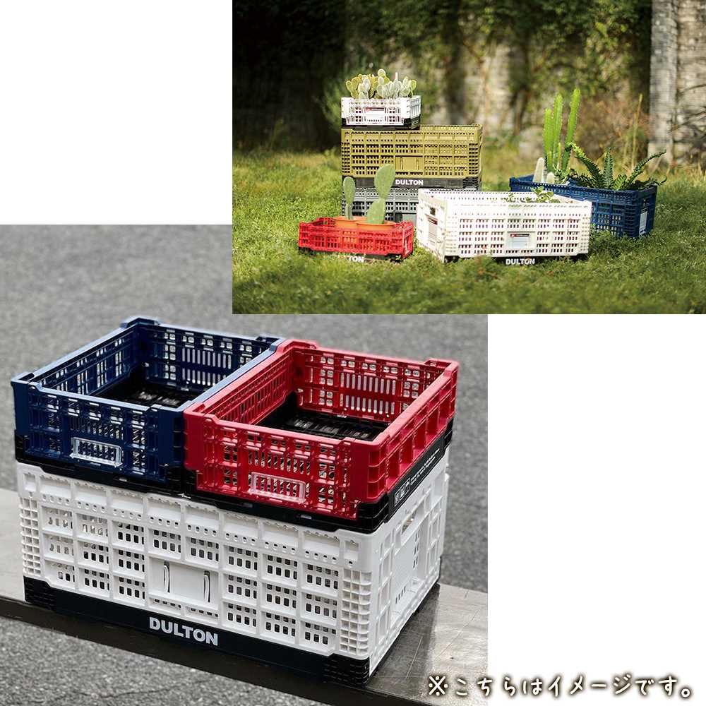 フォールディング メッシュ ストレージ 11L DULTON ダルトン 収納