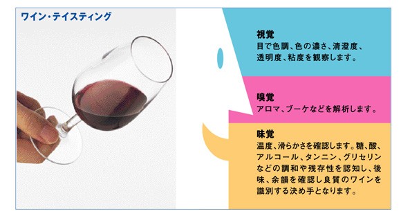 国立原産地名称研究所INAO テイスティンググラス 210cc 6脚セット