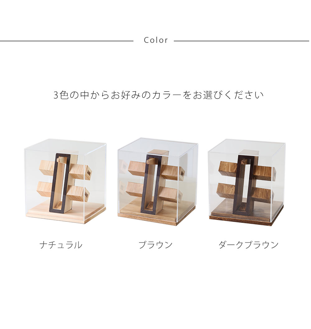 #★★メガネケース50A-717 A+ (アクセントプラス) メガネショーケース 2本用 眼鏡ケース