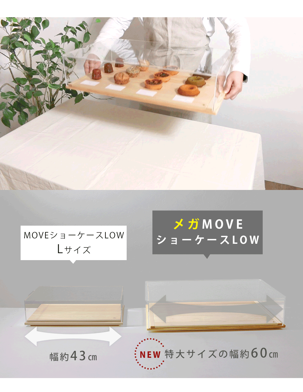 メガ MOVE ショーケース LOW ムーブ 卓上 幅60cm アクリルケース