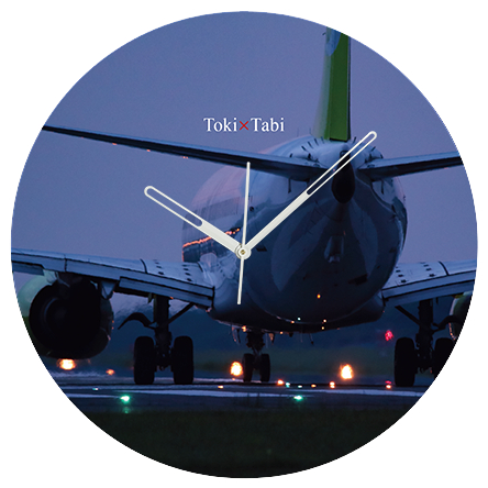 A+ (アクセントプラス) Toki×Tabi 阿蘇くまもと空港 後ろ姿 60cm 大型