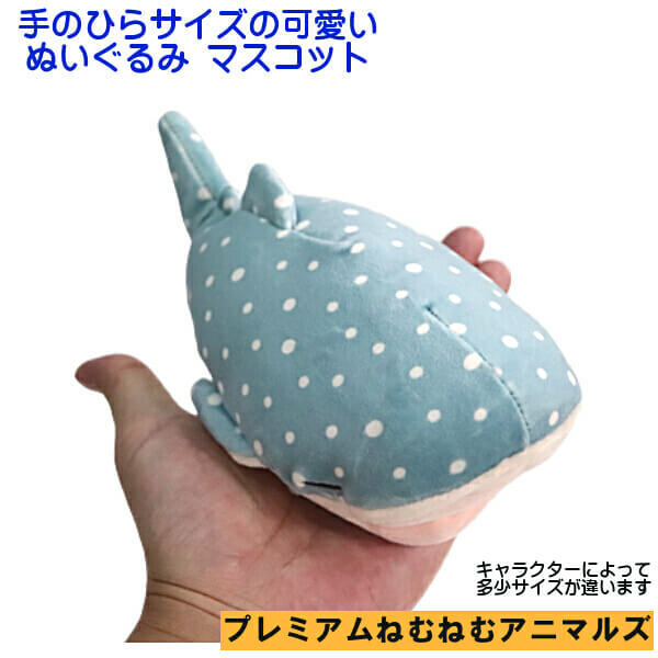 水色 星型ぬいぐるみ 手のひらサイズ 楽天市場】【公式ショップ】【NEW COLOR登場！】手のひらサイズ