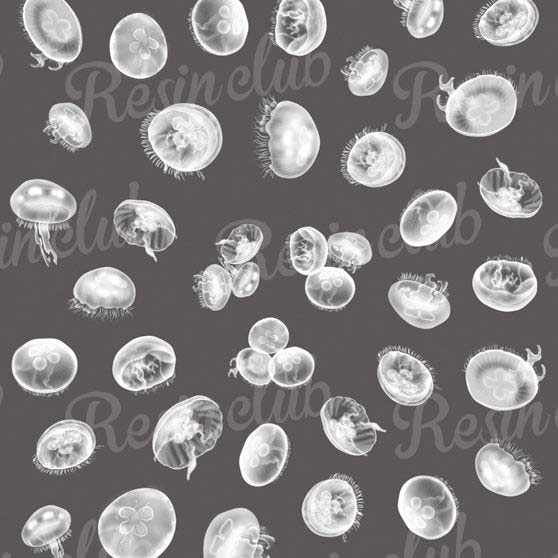 Resin club(レジンクラブ) レジン 封入 シール 埋め込みレジンシール