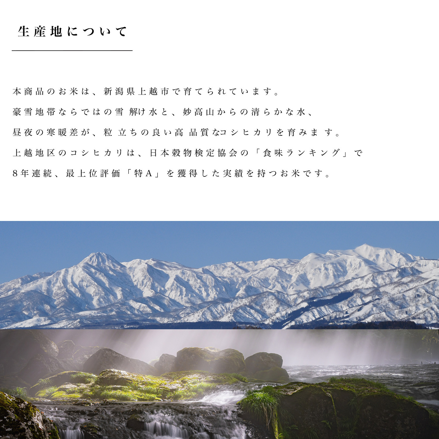 新潟県産コシヒカリ 和泉 20kg 令和7年産【受注後精米 農家直送】 ※沖縄県不可_4