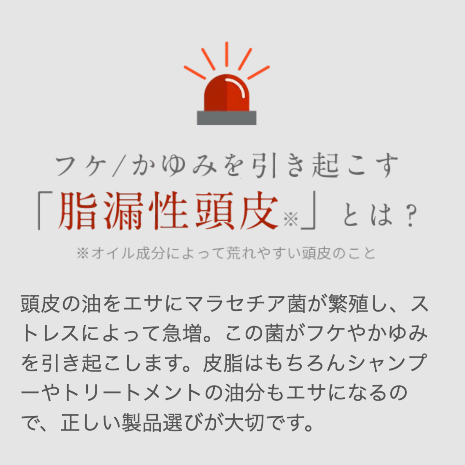 KADASON シャンプー 特徴1