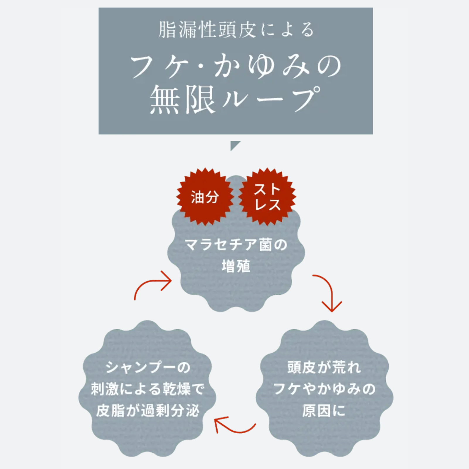 KADASON シャンプー 特徴5