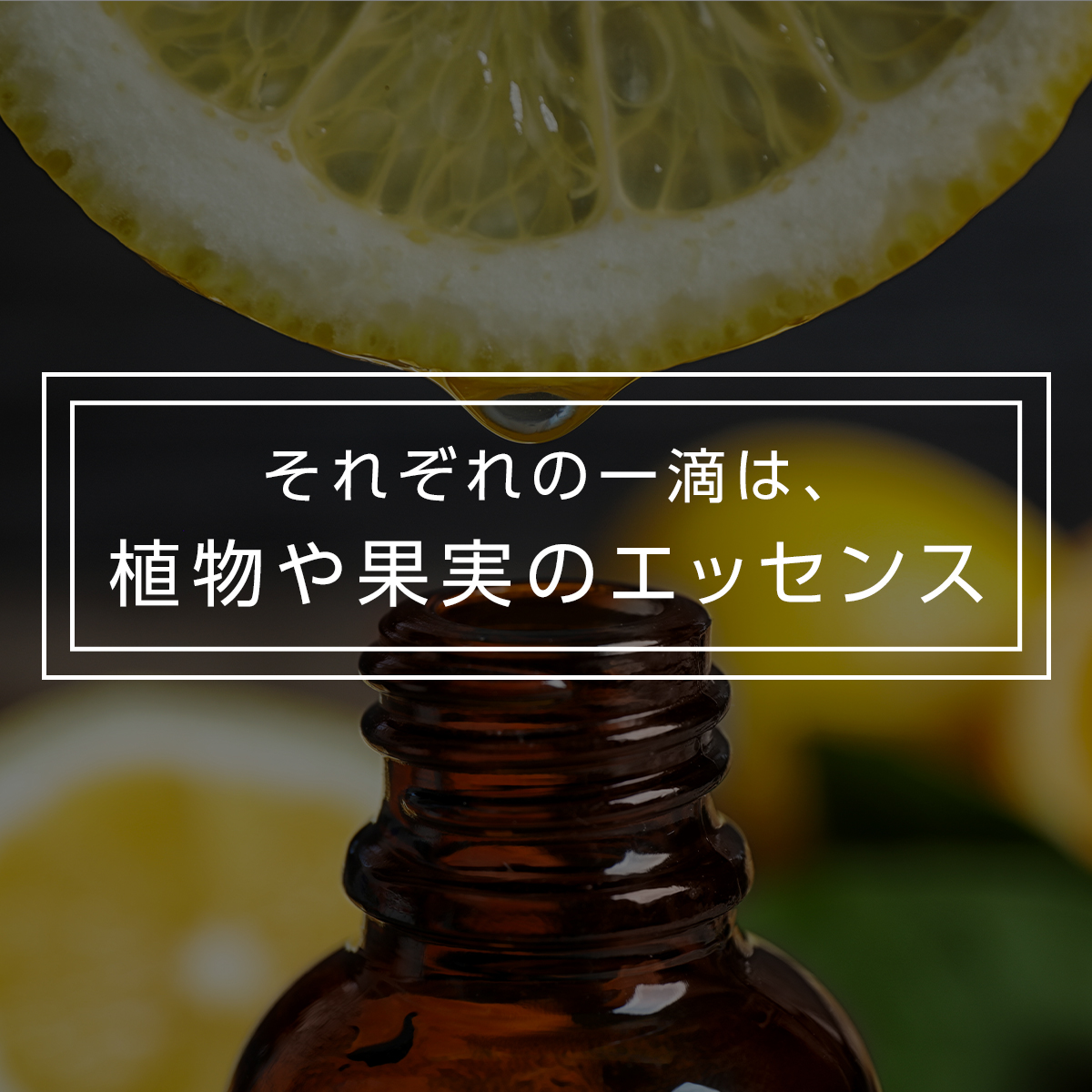 100％ エッセンシャルオイル TOKAIZ トカイズ : 万通オンライン