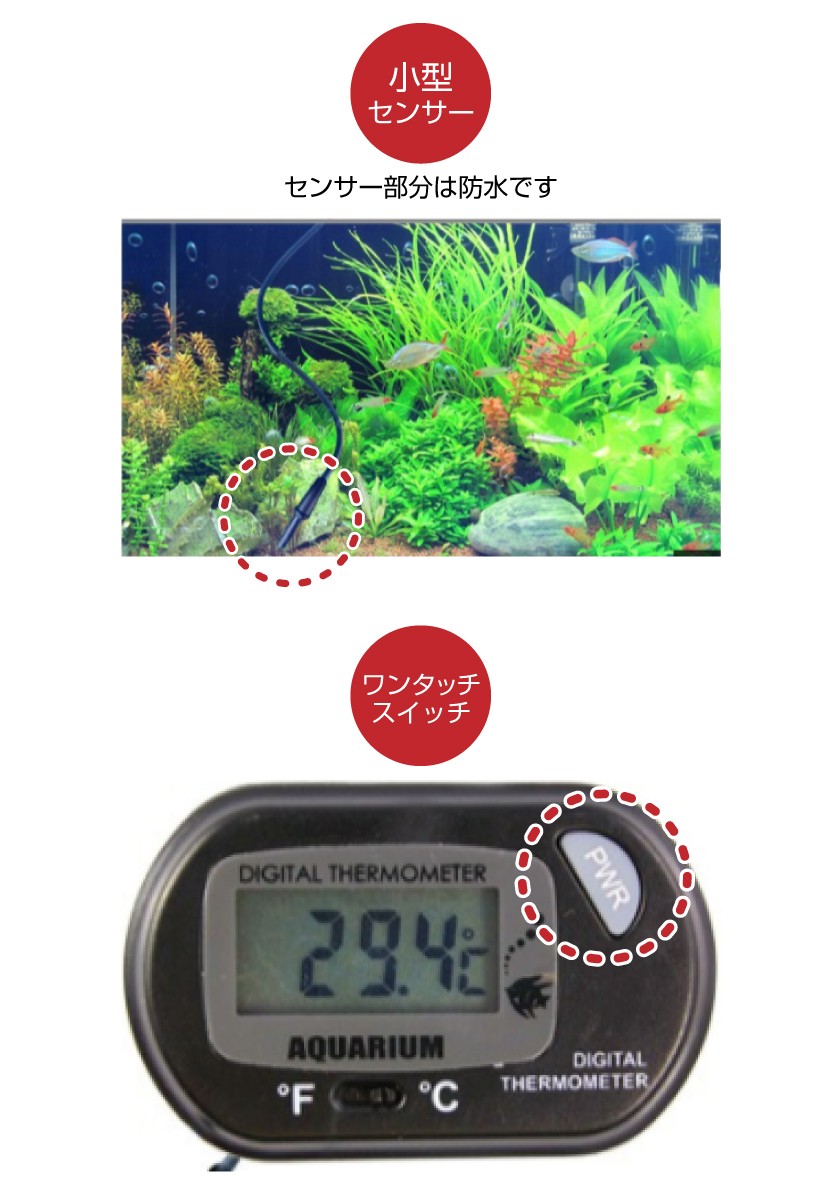 デジタル水温計 品質検査済 温度計 センサーコード付 水槽 気温 水温