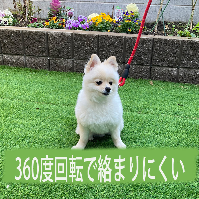 リード 犬 いぬ ライト 軽量 軽い 人気 リーズナブル 安い 丈夫 小型犬 中型犬 大型犬 伸縮 頑丈 フック ロープ 柔らかい 痛くない 安全 長持ち 関連画像2
