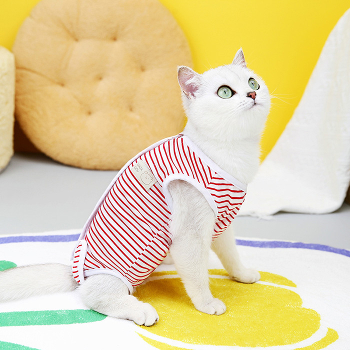 術後服 猫 ボーダー柄 ペット介護服 メス猫避妊服 ストライプ 術後ウェア 不妊手術 傷口保護 皮膚保護 引っ掻き防止 舐め防止 避妊手術 離乳 傷舐め 安い 人気 関連画像1