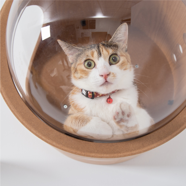 MYZOO マイズー 宇宙船 GAMMA (オーク) 壁付けタイプ猫用ベッド 右開き MYZOO マイズー 宇宙船 GAMMA (オーク) 壁付けタイプ猫用ベッド 右開き